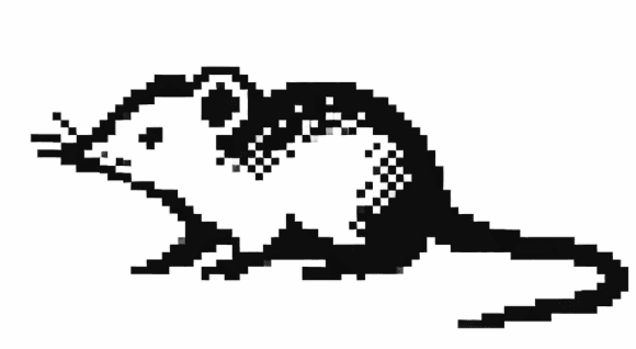 Shrew